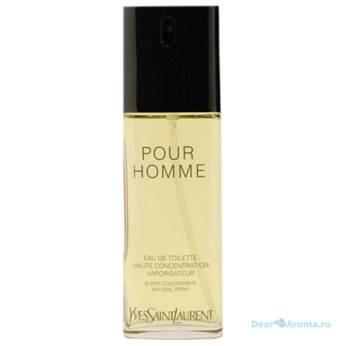 YSL Pour Homme Concentration