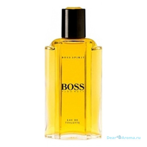 Hugo Boss Boss Spirit