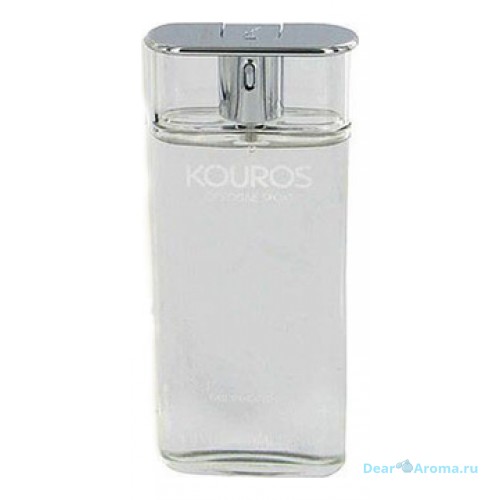 YSL Kouros Cologne Sport