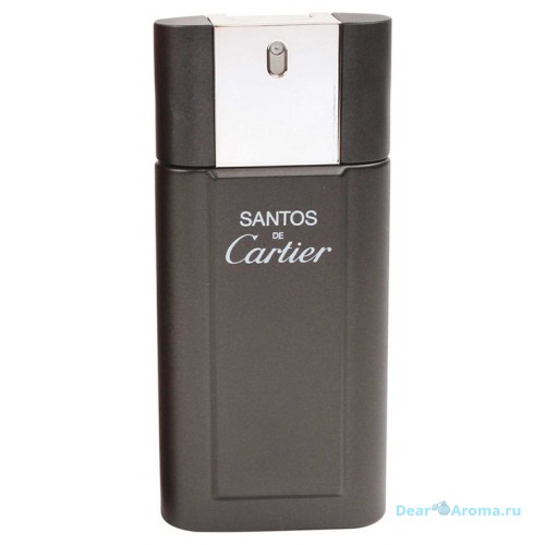 Cartier Santos De Cartier