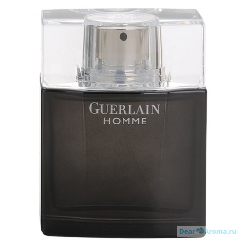 Guerlain Homme Intense