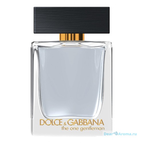 Dolce Gabbana (D&G) The One Gentleman