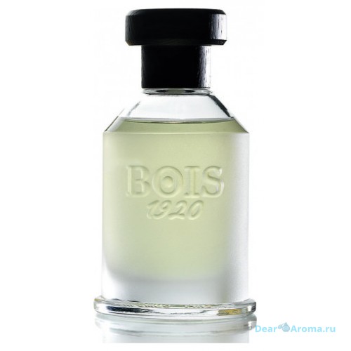 Bois 1920 Magia