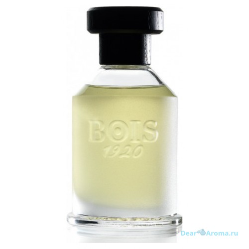 Bois 1920 Rosa 23