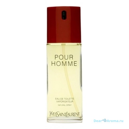 YSL Pour Homme